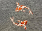 Preview: Koi Karpfen - redwork Stickdatei